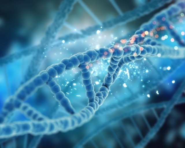 El cáncer. Porque se genera y como se desarrolla